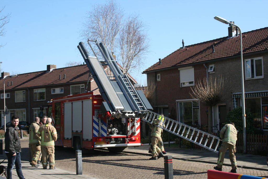 Brandweer haalt kat uit boom
