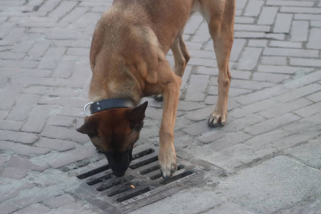 Bestelbus beschoten vanuit rijdende auto