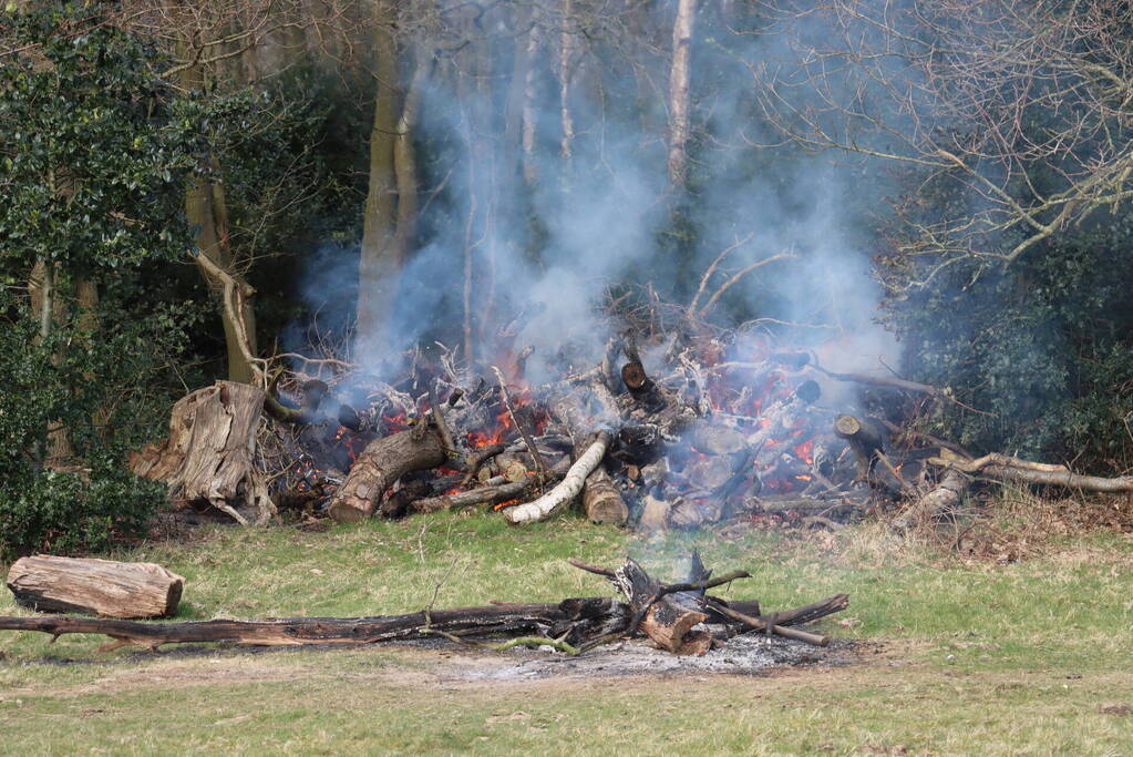 Veel rook bij brand in bosschage