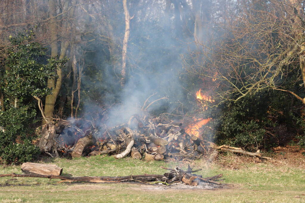 Veel rook bij brand in bosschage