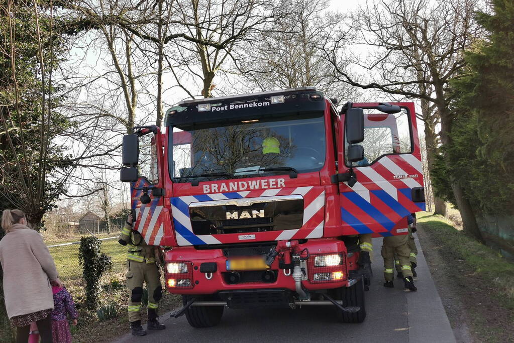 Vermiste kat Simba uit de boom gezaagd