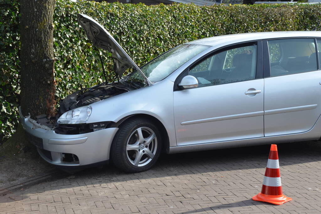 Auto botst frontaal op boom