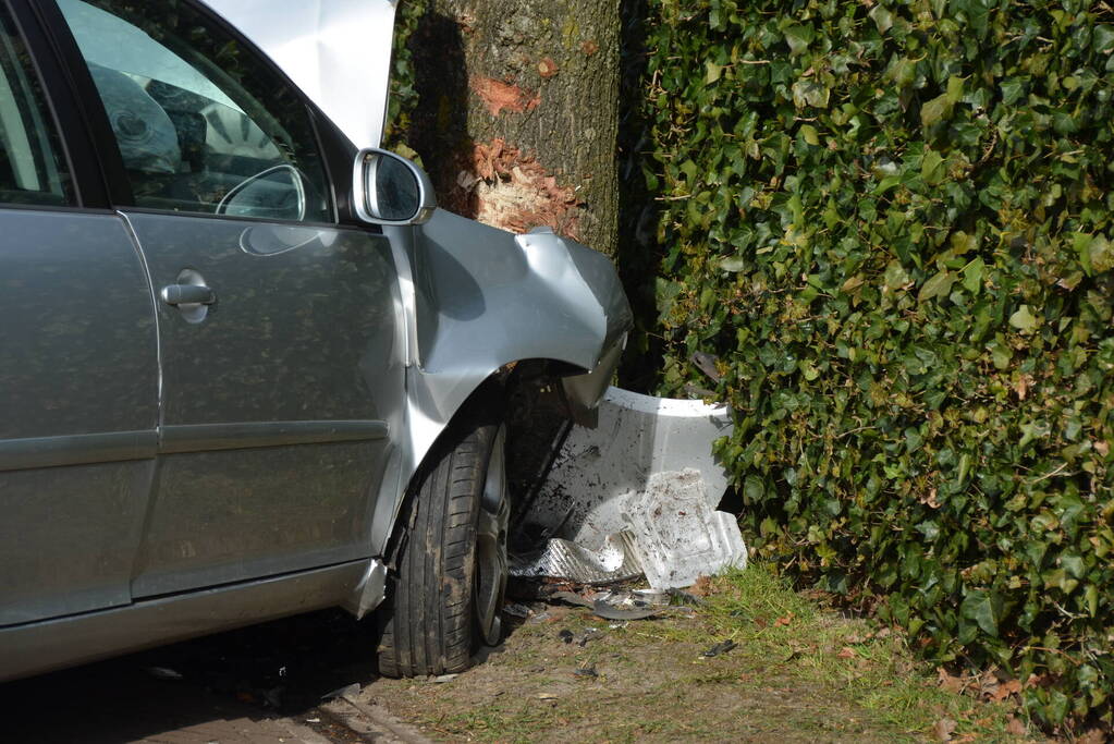 Auto botst frontaal op boom
