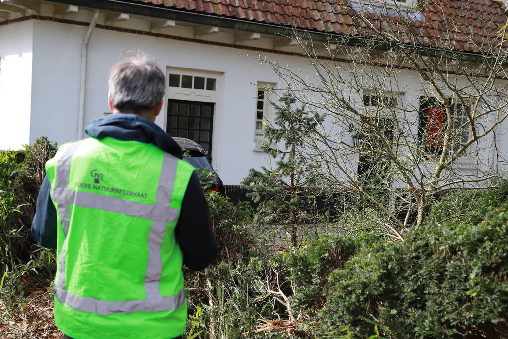 Auto crasht tegen woning