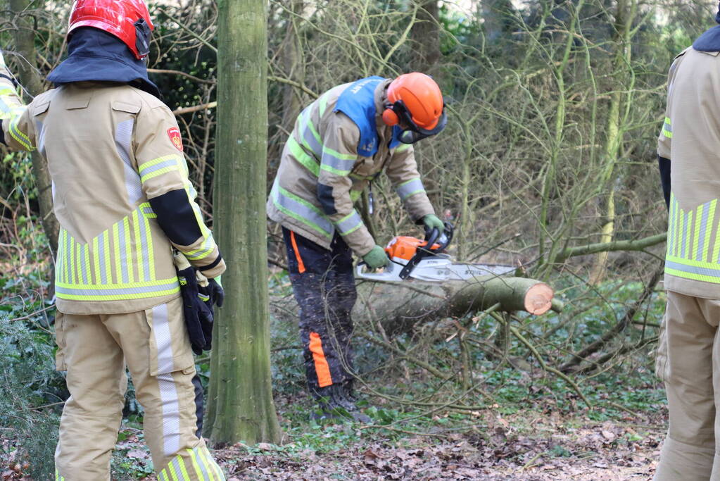 Boom zorgt voor gevaarlijke situatie op fietspad