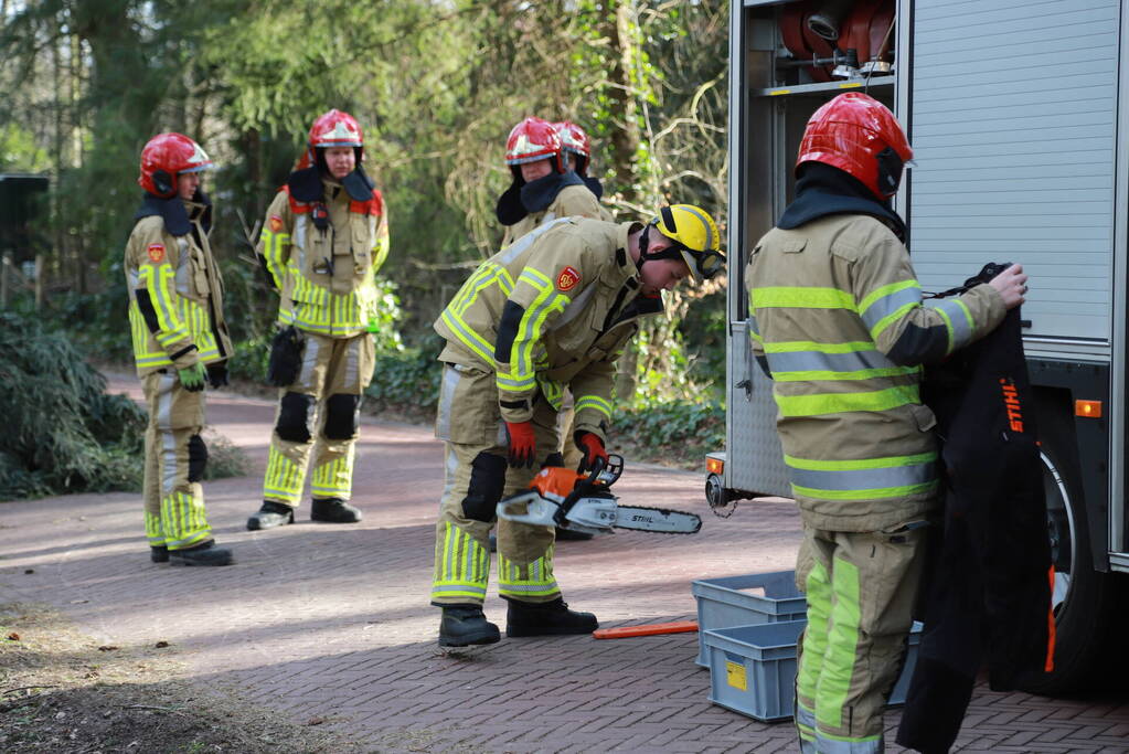 Boom zorgt voor gevaarlijke situatie op fietspad