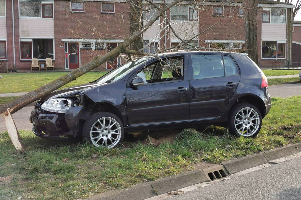 Auto botst tegen boom, inzittende slaat op de vlucht