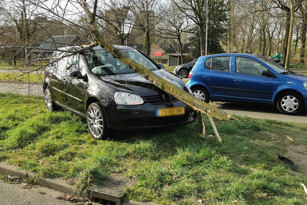 Auto botst tegen boom, inzittende slaat op de vlucht