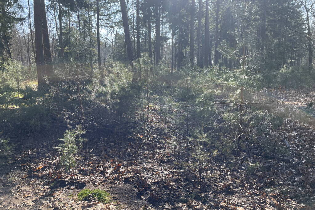 Brandweer blust brand in natuurgebied