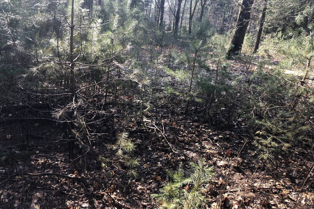 Brandweer blust brand in natuurgebied