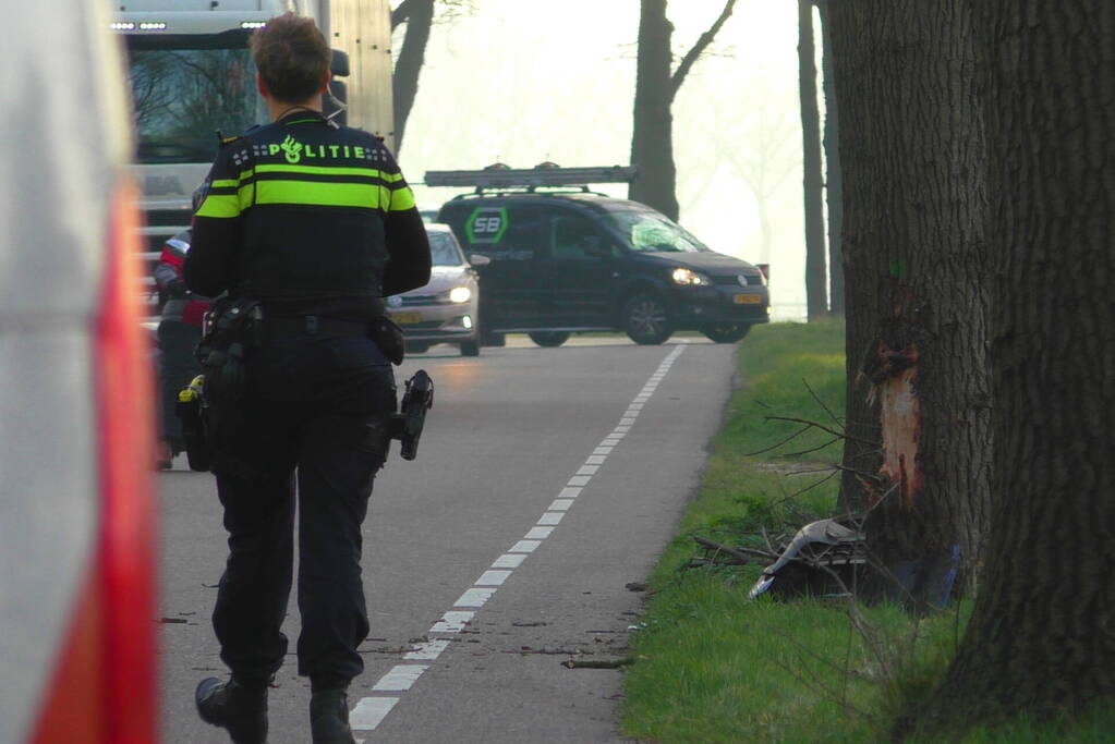 Auto in de kreukels na botsing tegen boom