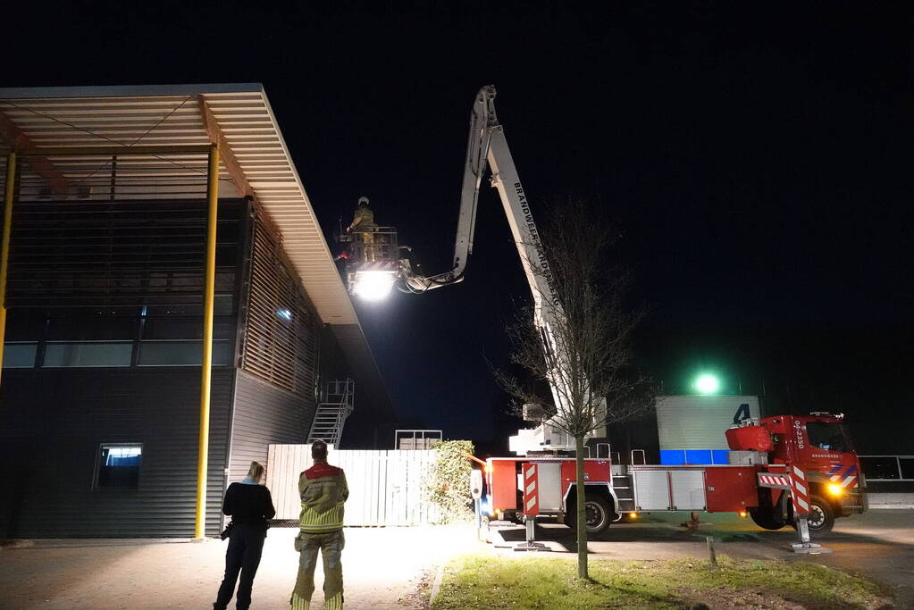 Kraai vast in pui van gebouw