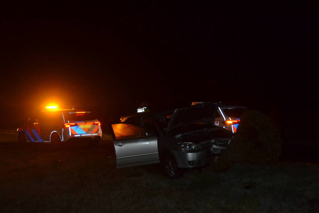 Flinke schade aan auto door botsing tegen boom