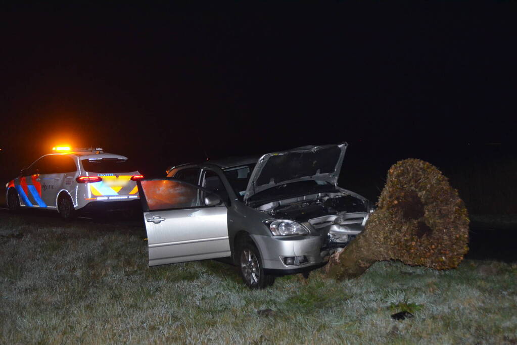 Flinke schade aan auto door botsing tegen boom