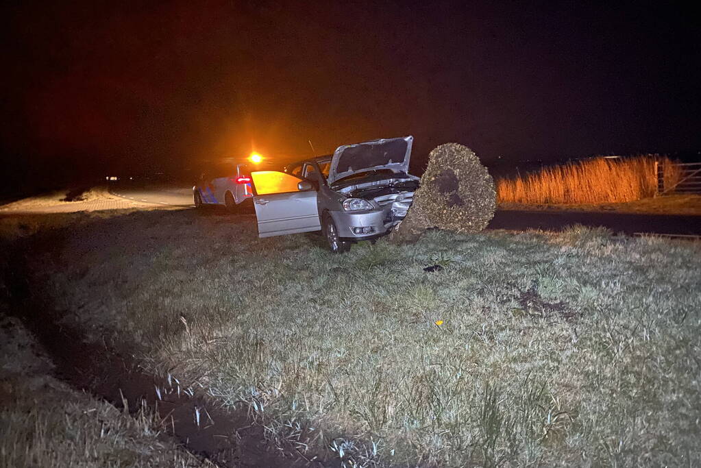 Flinke schade aan auto door botsing tegen boom