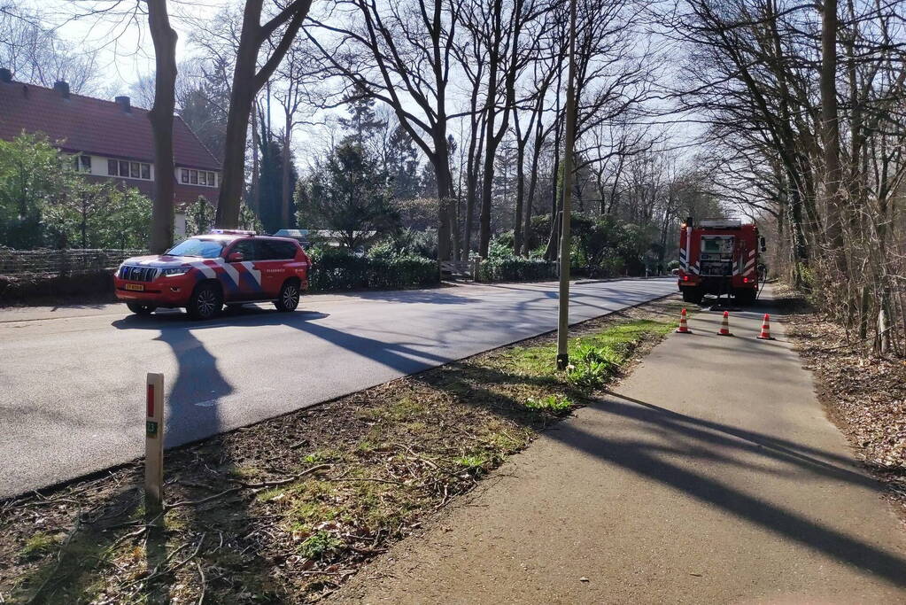 Brand in droog bosgebied