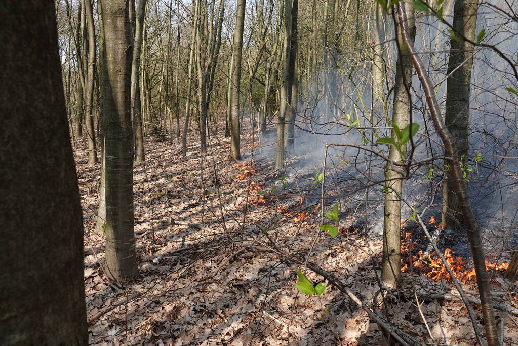 Bosbrand zorgt voor veel rook