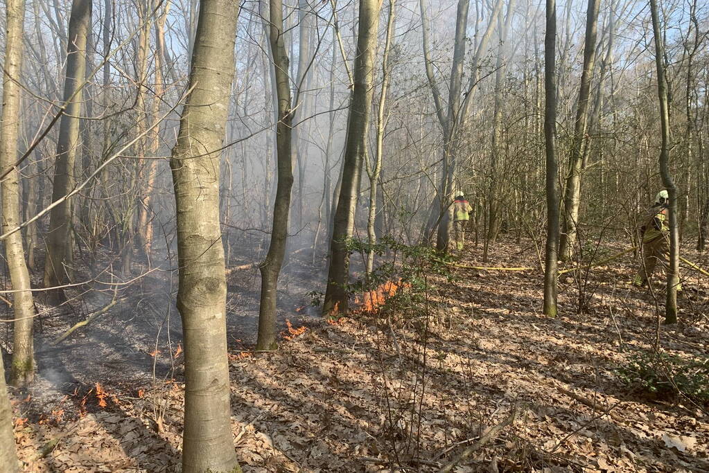Bosbrand zorgt voor veel rook