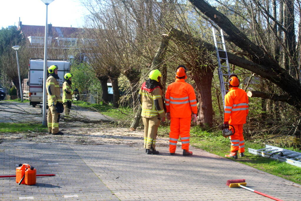 Boom die dreigt om te vallen is omgezaagd