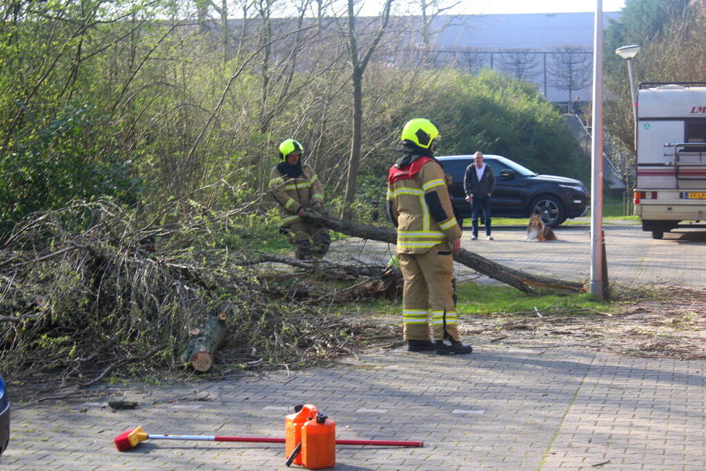 Boom die dreigt om te vallen is omgezaagd