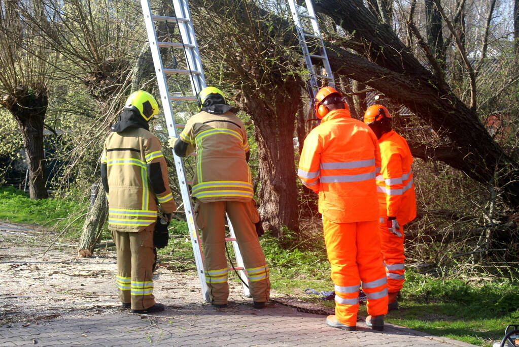 Boom die dreigt om te vallen is omgezaagd