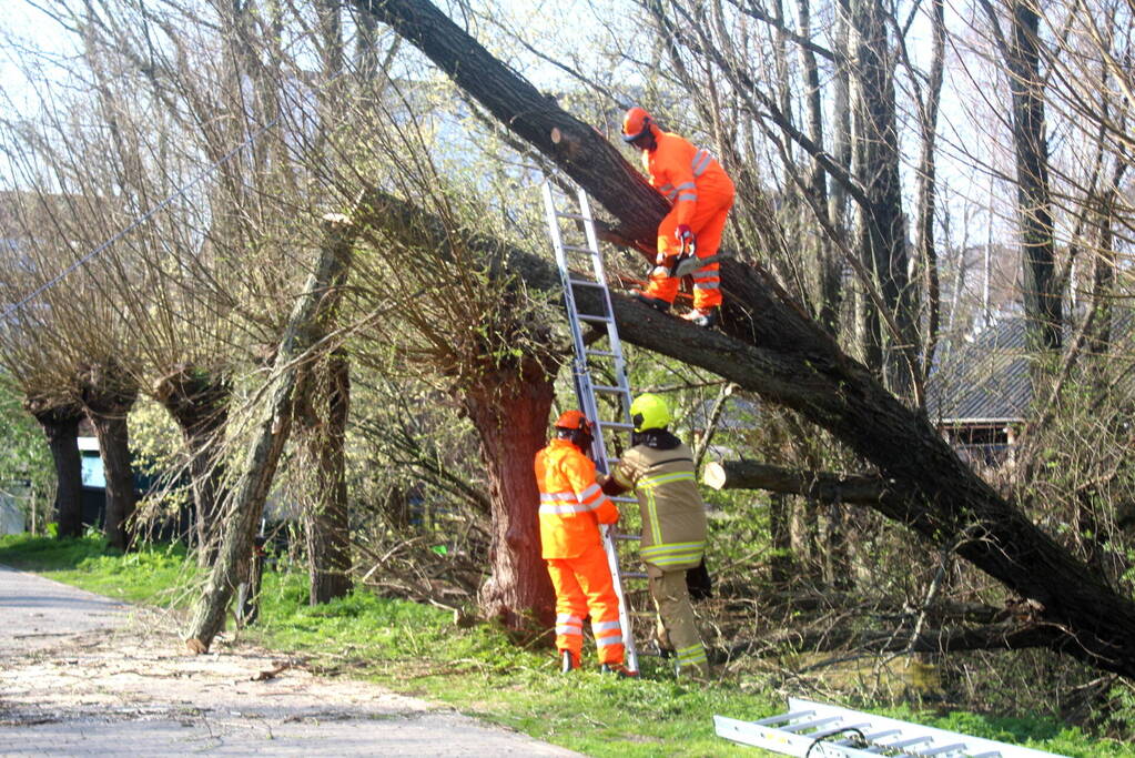 Boom die dreigt om te vallen is omgezaagd
