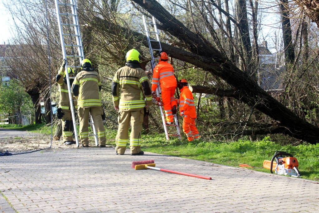 Boom die dreigt om te vallen is omgezaagd