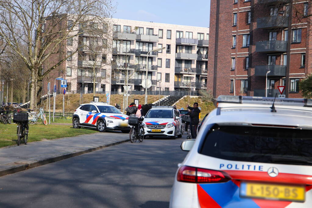 Enorme vechtpartij op middelbare school Het Element