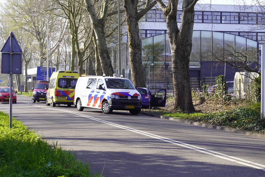 Auto raakt van de weg en botst tegen boom