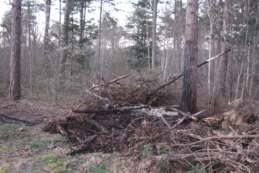 Brand in bosgebied