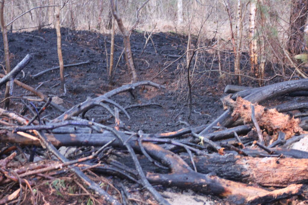 Brand in bosgebied
