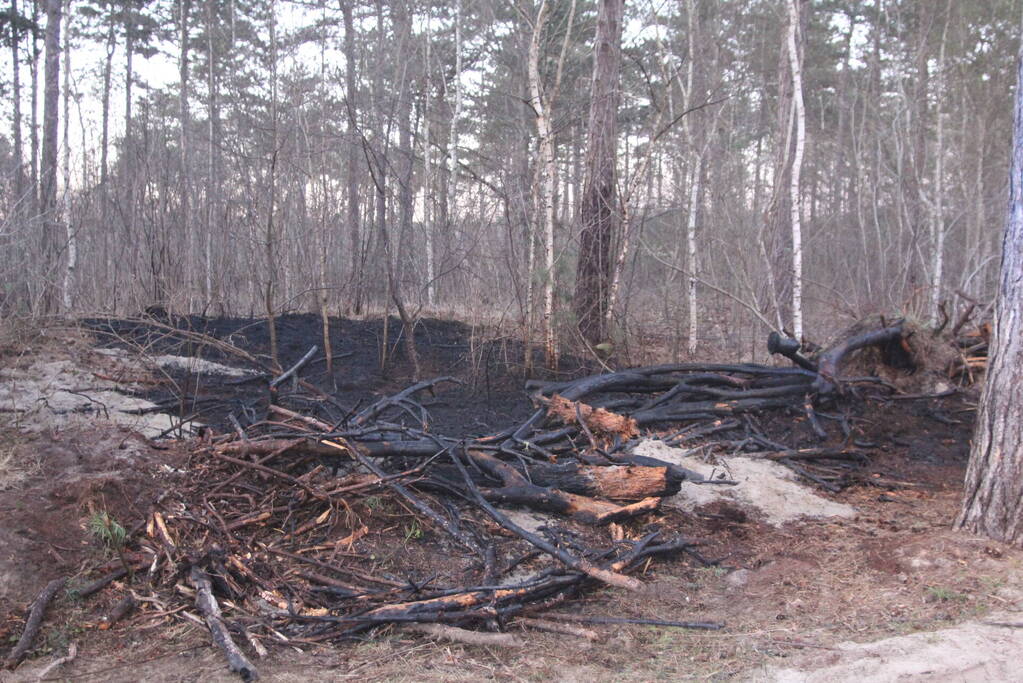 Brand in bosgebied