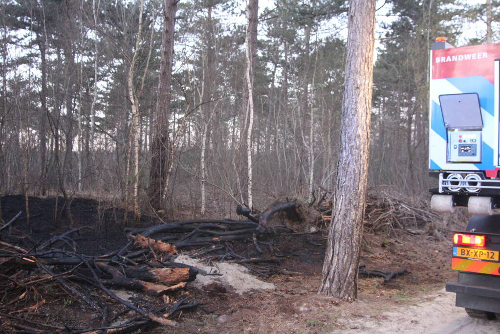 Brand in bosgebied