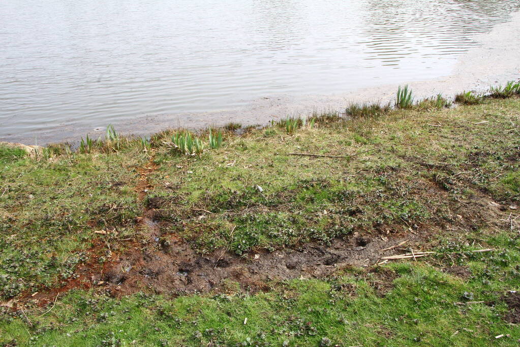 Onderzoek naar verontreiniging