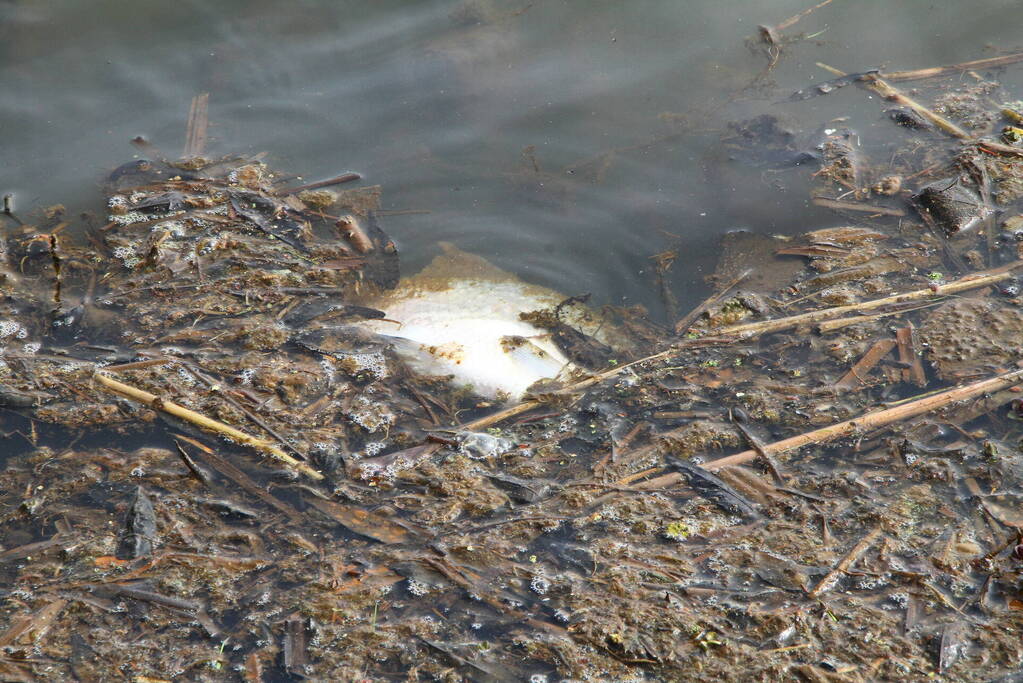 Onderzoek naar verontreiniging