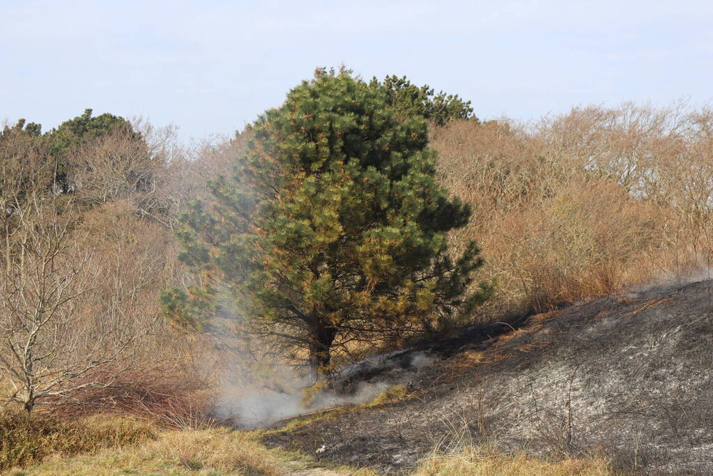 Duinen vanwege brand verwoest