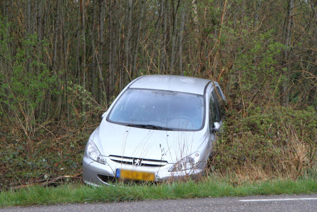 Auto raakt van de weg en belandt in bosjes