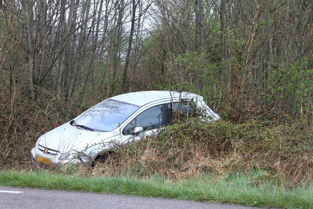 Auto raakt van de weg en belandt in bosjes
