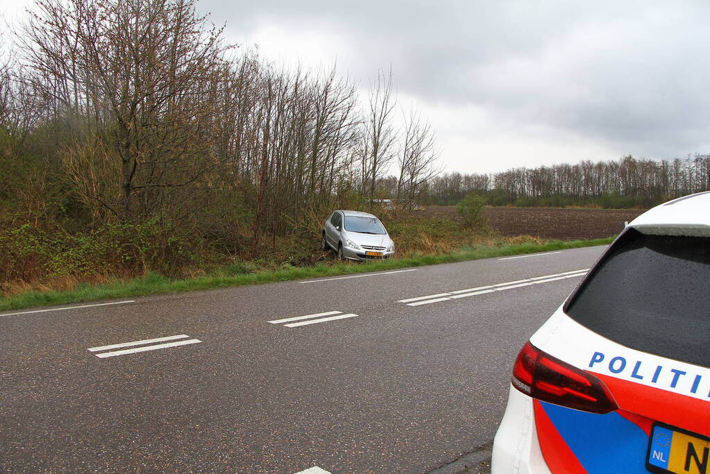 Auto raakt van de weg en belandt in bosjes
