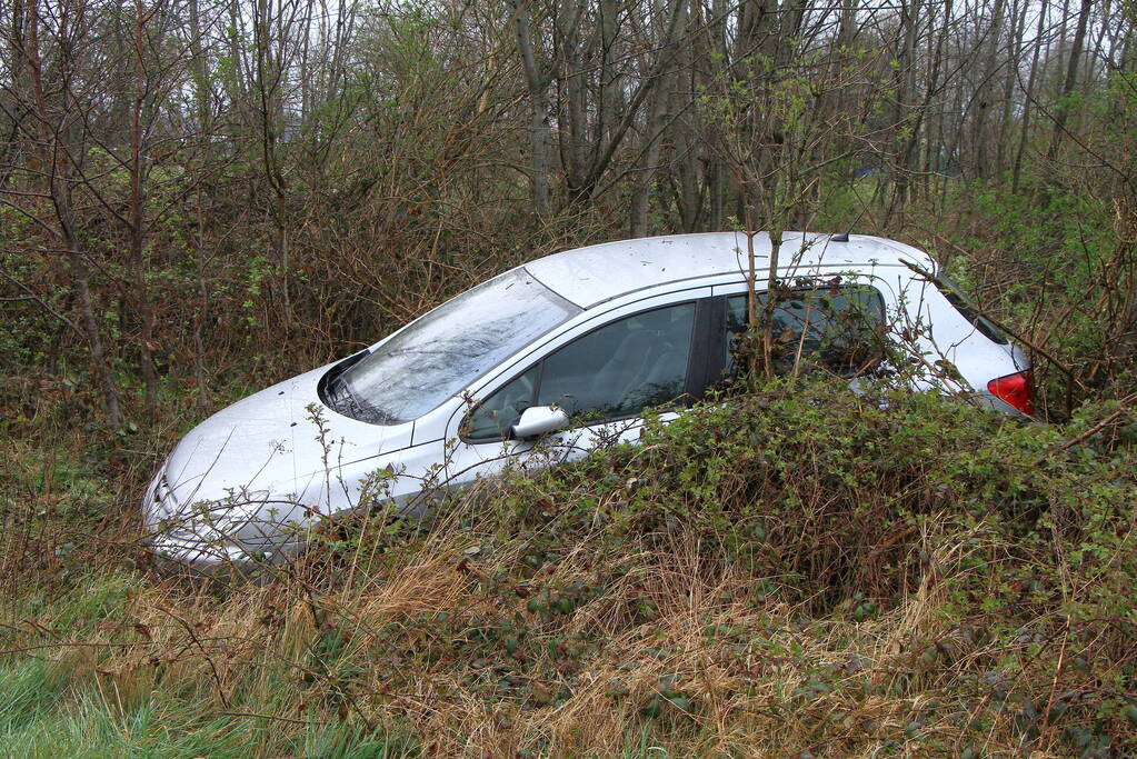 Auto raakt van de weg en belandt in bosjes