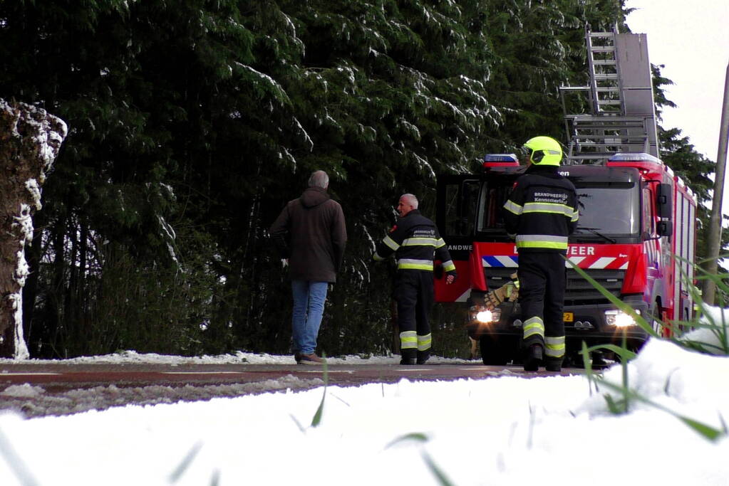 Meerdere bomen dreigen om te vallen