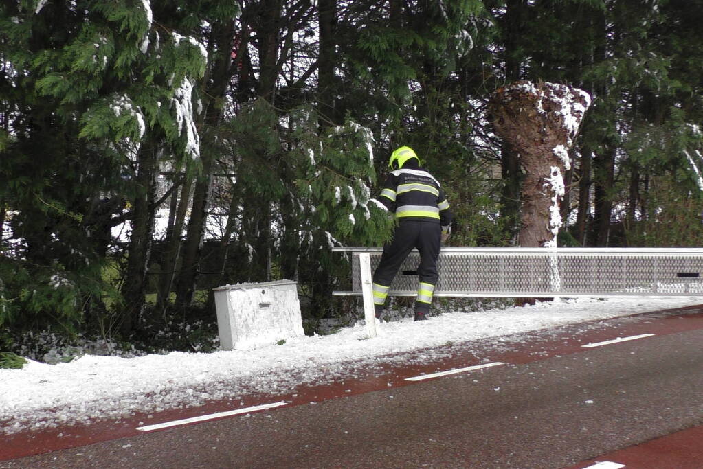 Meerdere bomen dreigen om te vallen