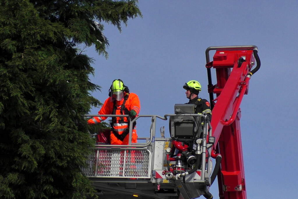 Meerdere bomen dreigen om te vallen