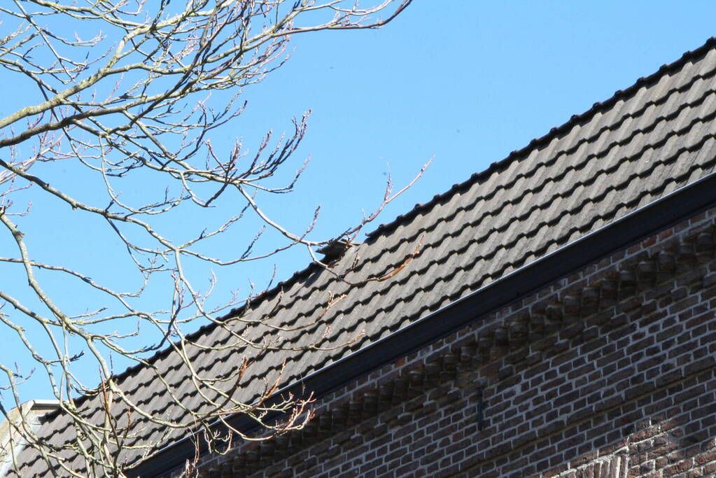 Dakpannen zorgen voor gevaarlijk situatie