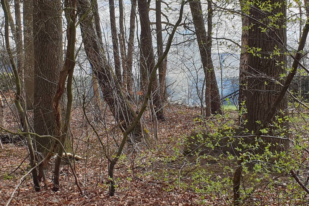 Rookontwikkeling vanwege brand in stuk bosschage