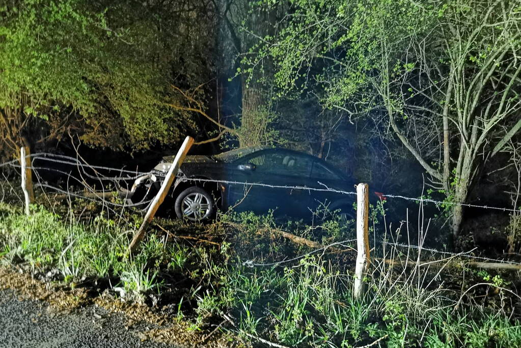 Automobilist wijkt uit voor dier op de weg