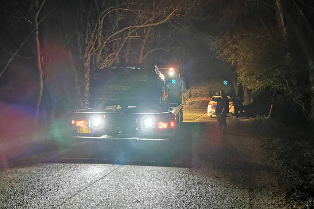 Automobilist wijkt uit voor dier op de weg