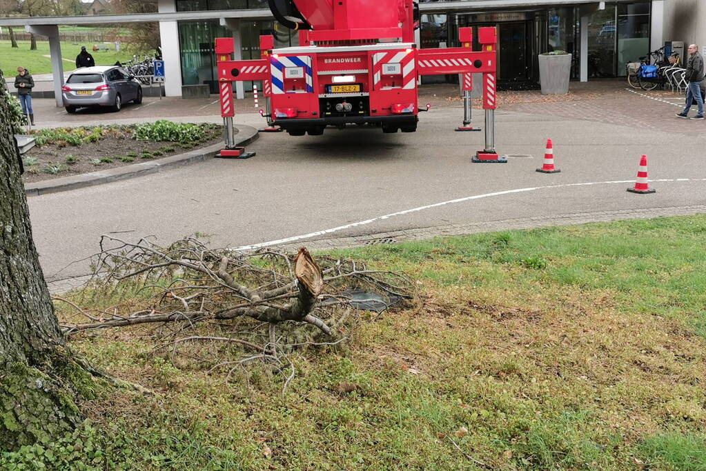Brandweer zaagt gevaarlijk hangende tak uit boom voor gemeentehuis