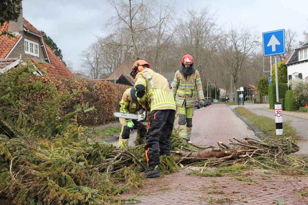 Boom valt vanuit voortuin over straat