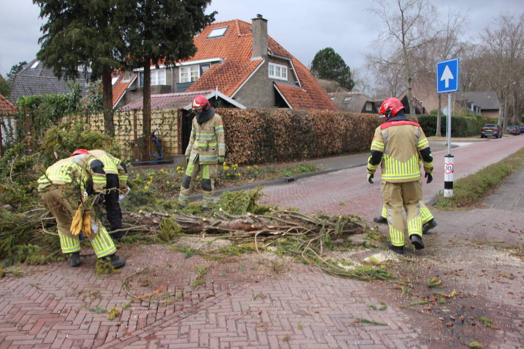 Boom valt vanuit voortuin over straat